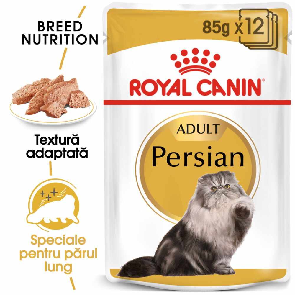 ROYAL CANIN Persian Adult 12x85g
