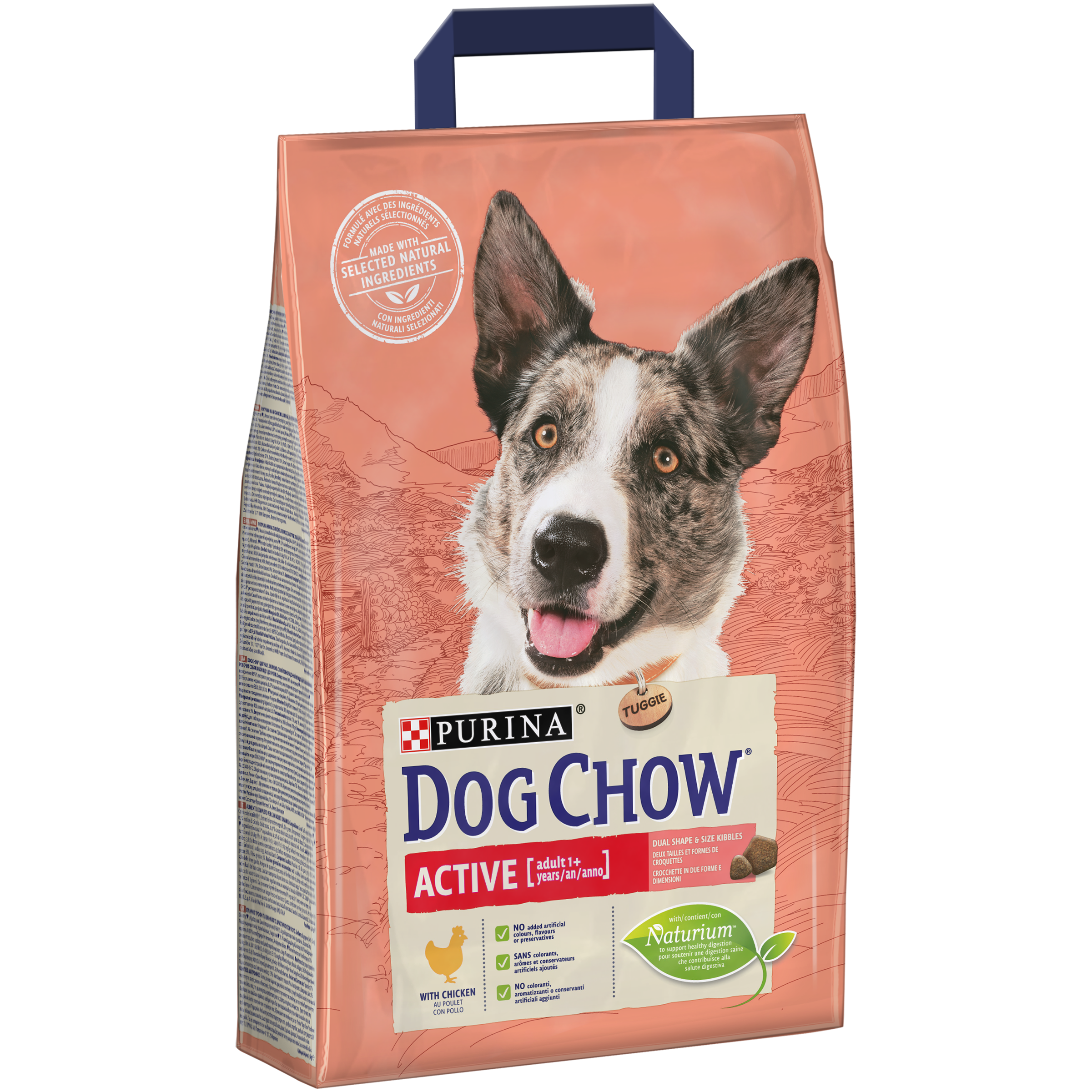 DOG CHOW ACTIVE, Pui, 2.5 kg