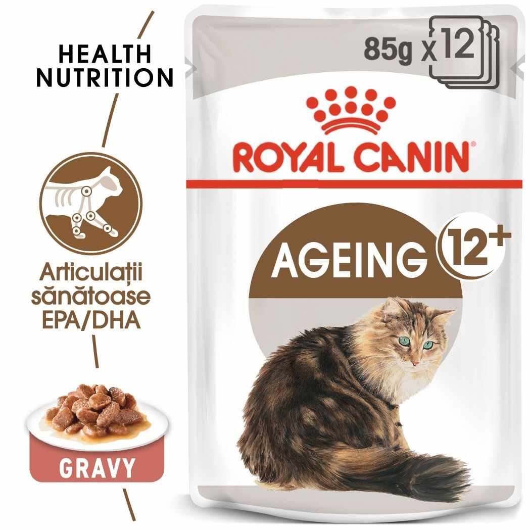 Royal Canin Ageing 12+, hrana umeda pisica senior in sos/ gravy, 12x85 g