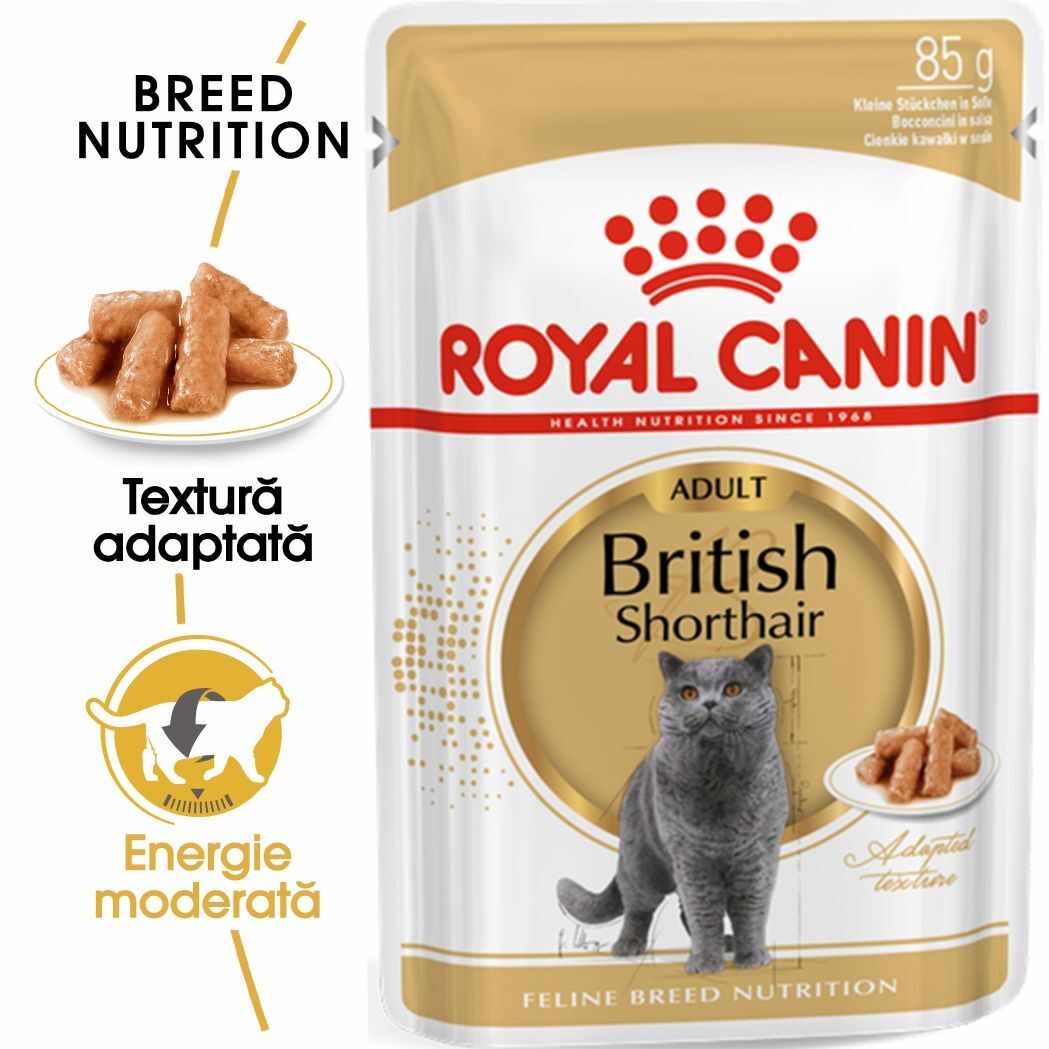 Royal Canin British Shorthair Adult, hrana umeda pisica in sos/ gravy, 85 g