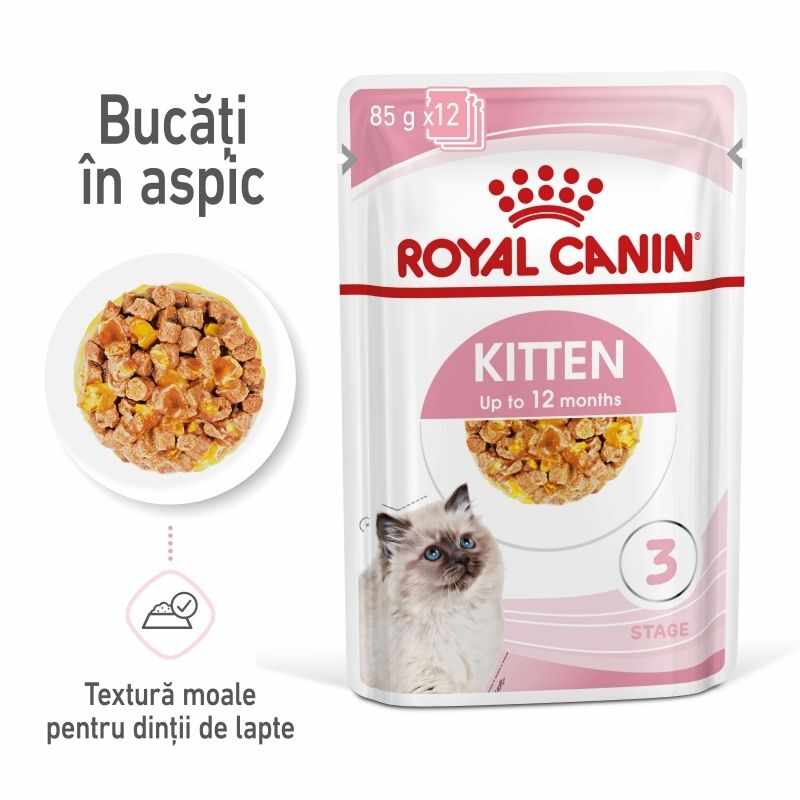 Royal Canin Kitten hrana umeda pisica (aspic), 12x85 g