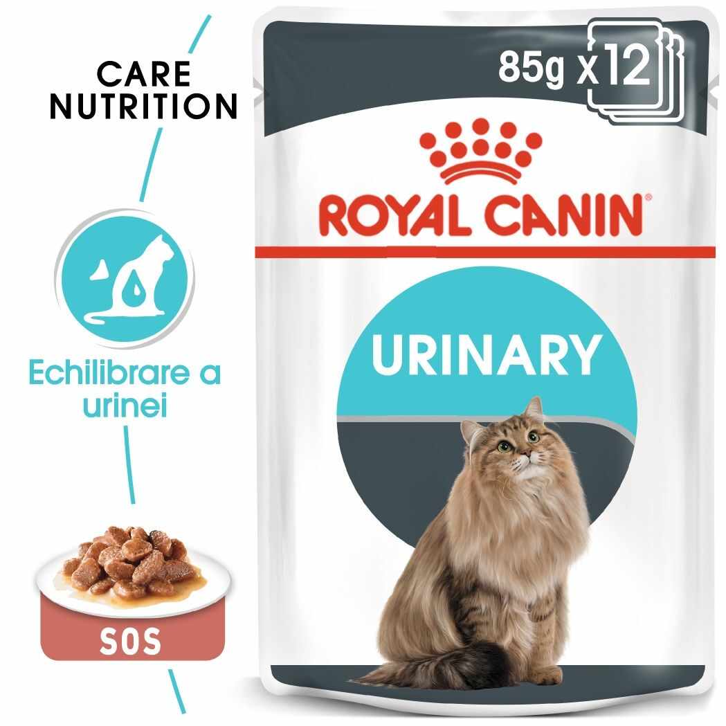 Royal Canin Urinary Care Adult hrana umeda pisica, sanatatea tractului urinar (in sos), 12x85 g