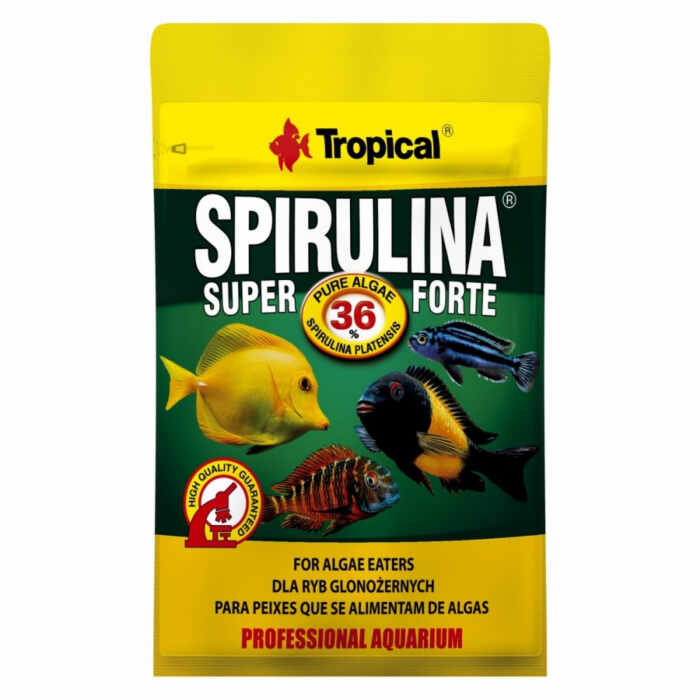 SPIRULINA FORTE Tropical Fish, 36%, 12g
