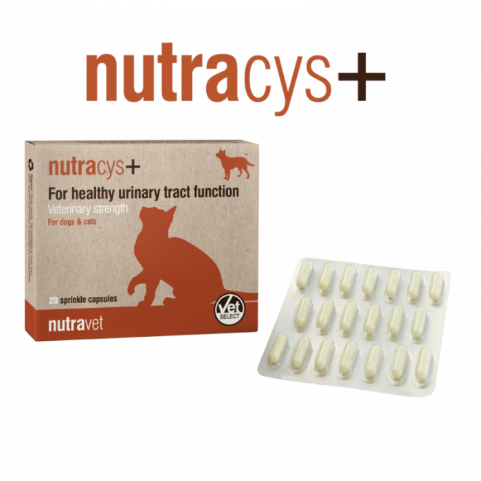 Nutravet Nutracys+ (Nutraease) 20 cps - caini si pisici