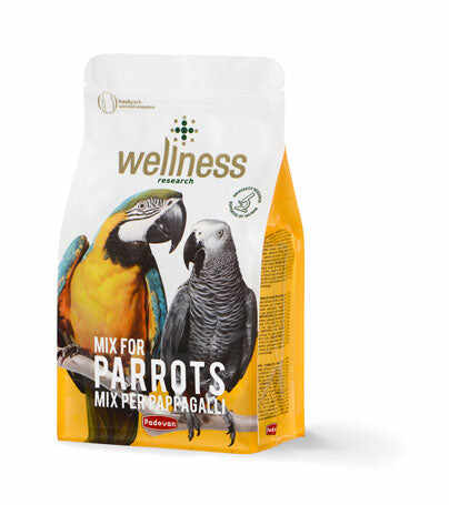 Hrana pentru papagali Wellness 750g