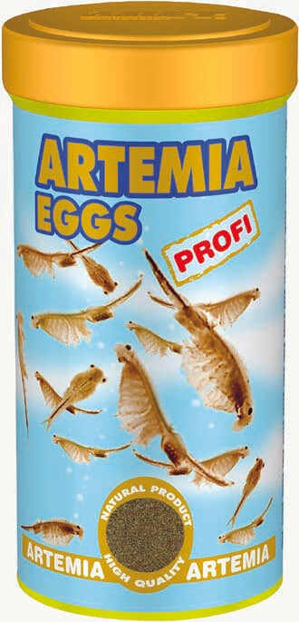 DAJANA Artemia Profi Hrană pentru puiet, Ouă de Artemia Salina 40g (100 ml)
