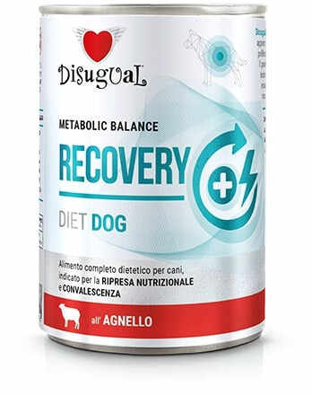 DISUGUAL Recovery conservă pentru câini, cu carne de miel 400g