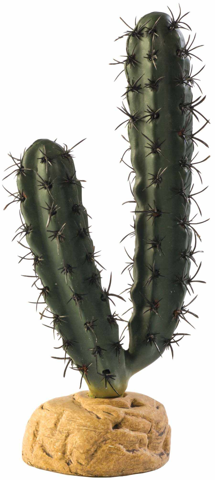 EXO TERRA Finger Cactus, Plantă decorativă pentru terariu deşert