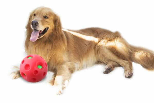 PAWISE Jucărie pentru câini Minge Shake Me Giggle Ball, diametru 15 cm