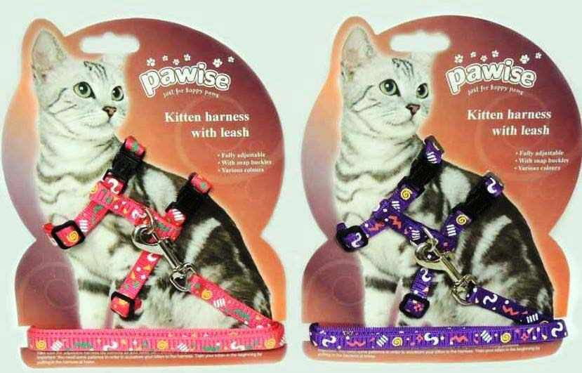 PAWISE Kitten Ham şi lesă pentru pisicuţe, Roz/Violet 120cm