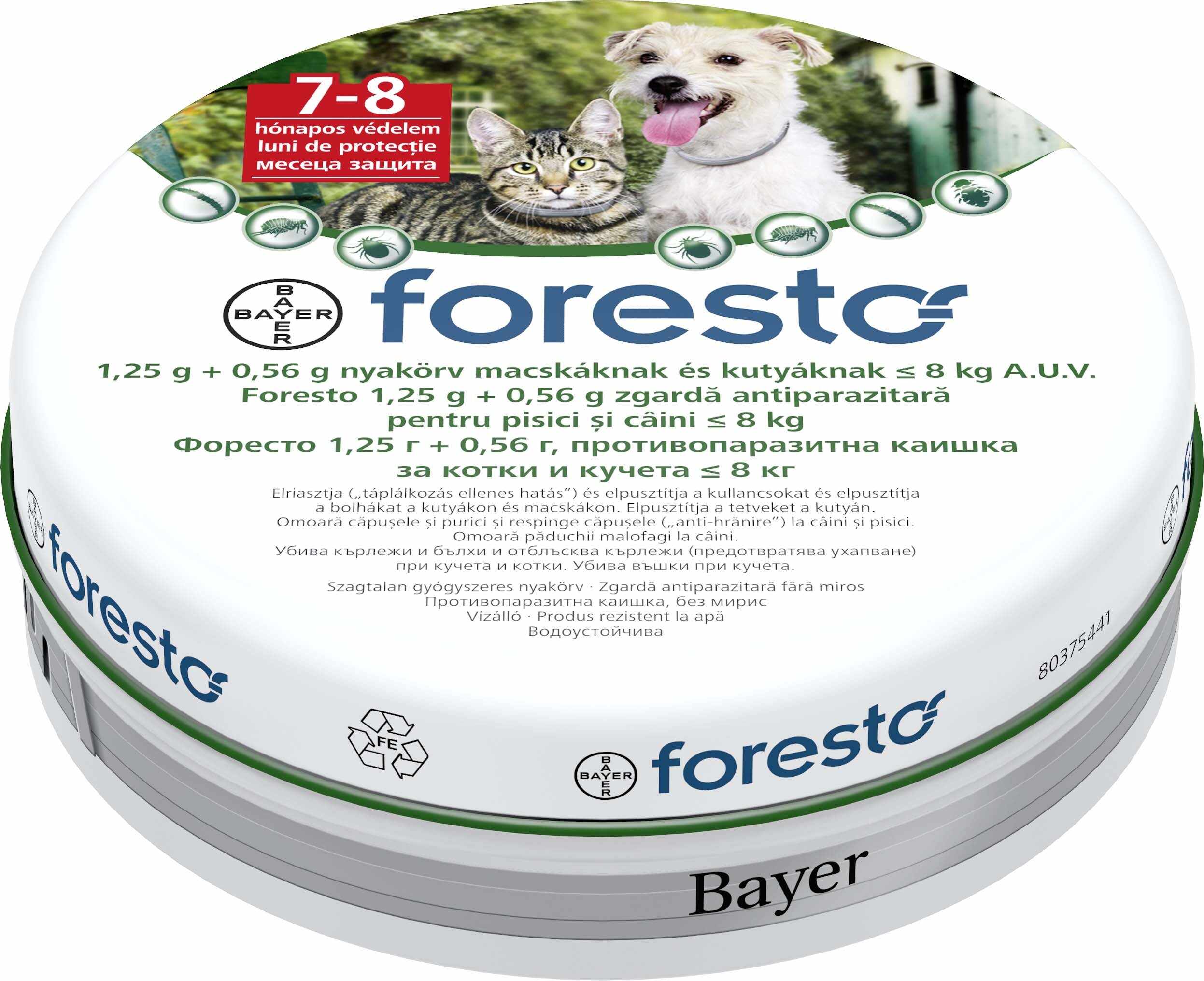 FORESTO Zgardă Antiparazitară pentru Câini de Talie Mică (8kg) şi Pisici