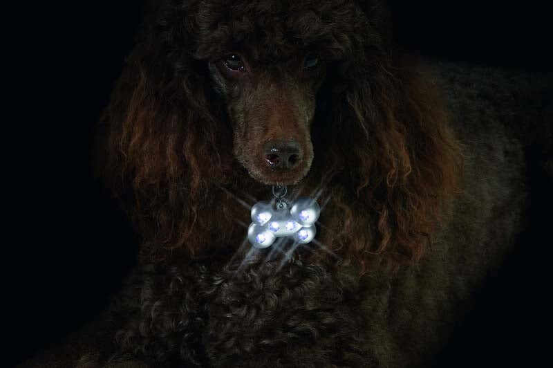 FLAMINGO Medalion ptr câini, Blinki Bone argintiu, 6 LED-uri şi baterii, 5x3x2cm