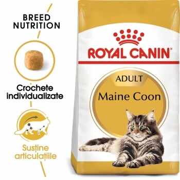 Royal Canin Maine Coon Adult, hrană uscată pisici, 4kg