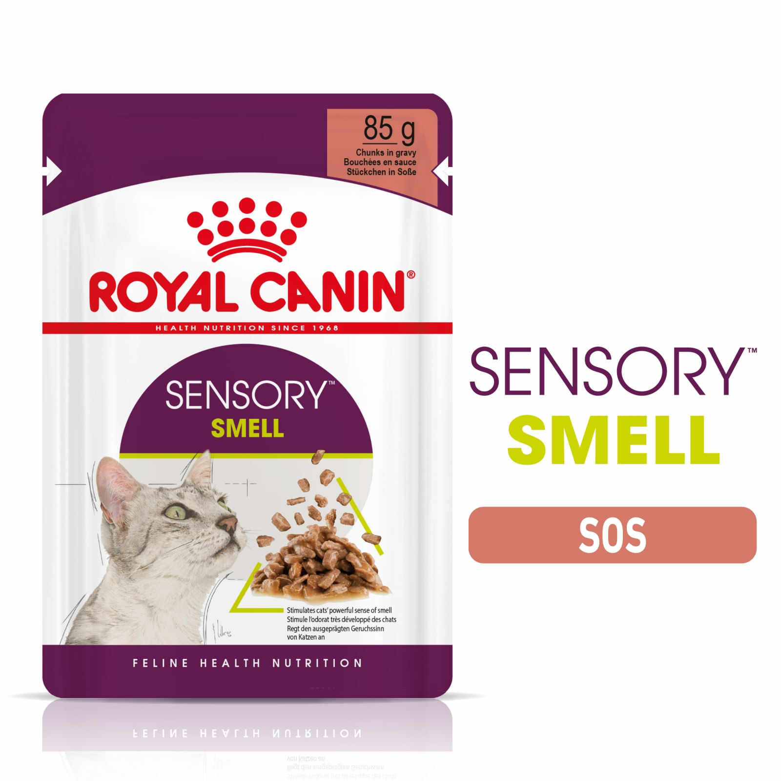 Royal Canin Sensory Smell, hrană umedă pisici, stimularea mirosului (în sos) Royal Canin Sensory Smell, plic hrană umedă pisici, stimularea mirosului (în sos), 85g