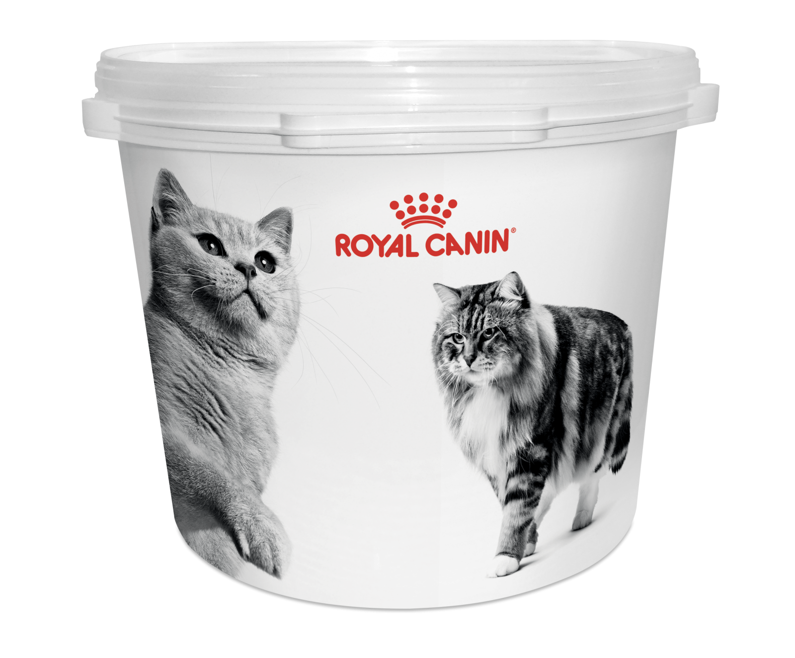 PROMO Container Royal Canin Pisica, 4 kg