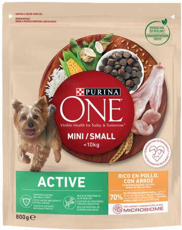 PURINA ONE Mini Hrană uscată pentru câini Pui/Orez 800g