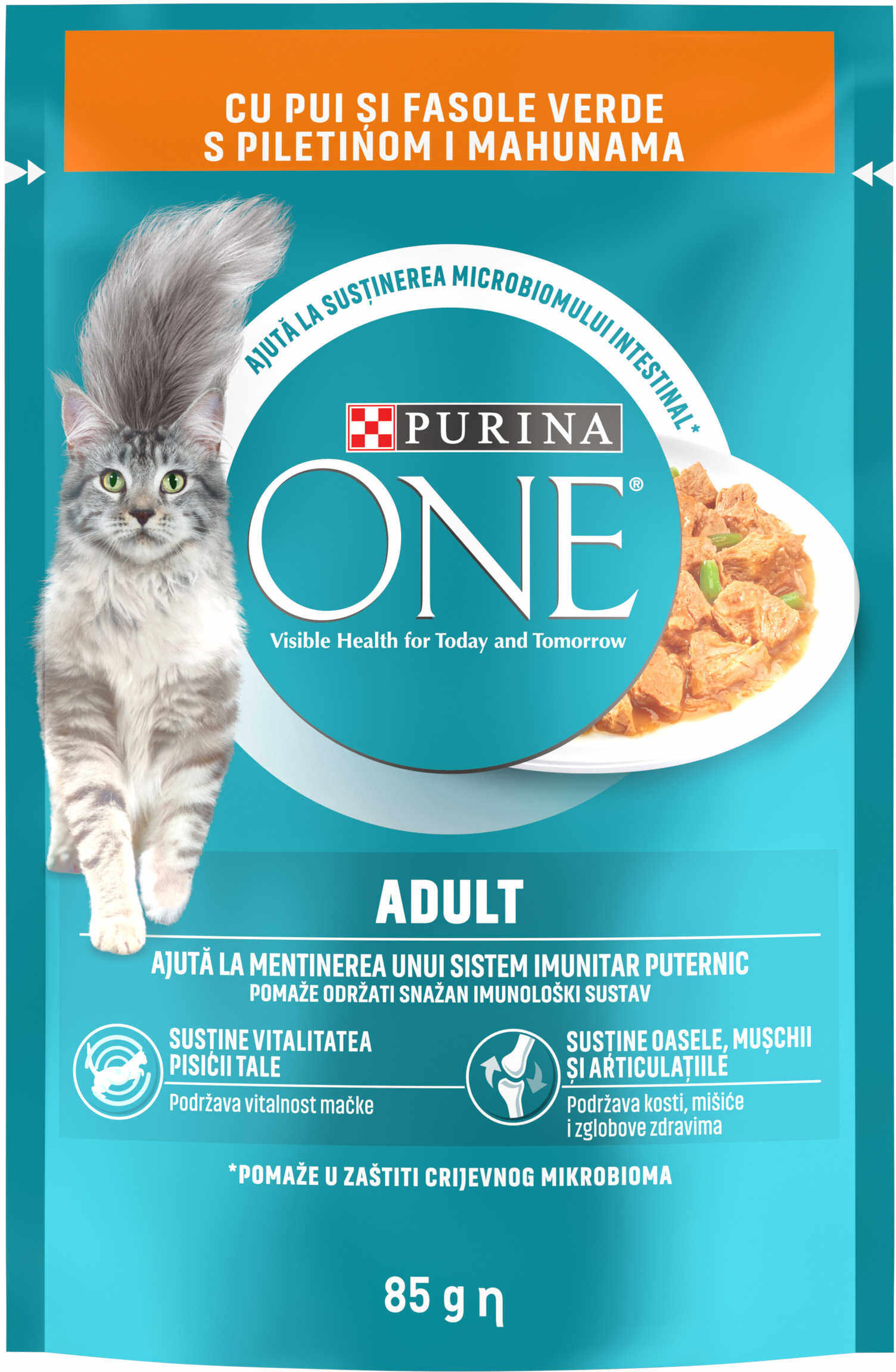 PURINA ONE Hrană umedă pentru pisici Adulte, cu Pui şi Fasole Verde, 85g