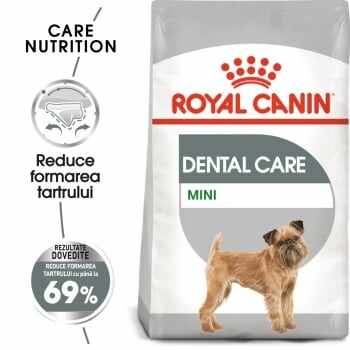 Royal Canin Mini Dental Care Adult, hrană uscată câini, reducerea formării tartrului, 8kg