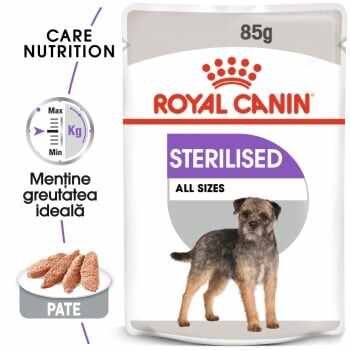 Royal Canin Sterilised Adult, plic hrană umedă câini sterilizați, (pate), 85g