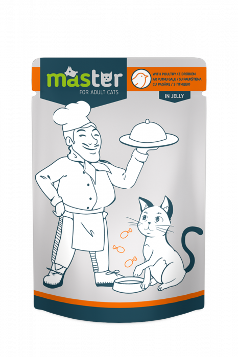 Master Hrana umeda pisici - cu pasare in jeleu, 24x80g