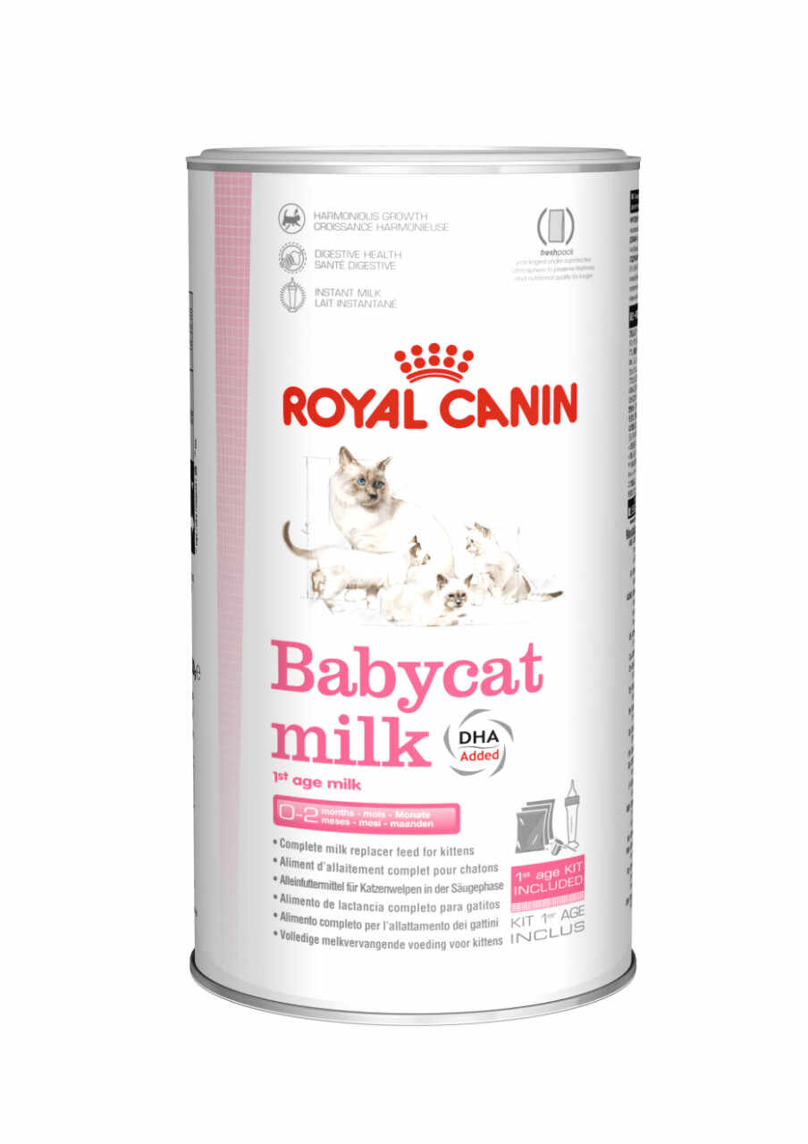 Royal Canin BabyCat Milk inlocuitor lapte matern pisică, 300g