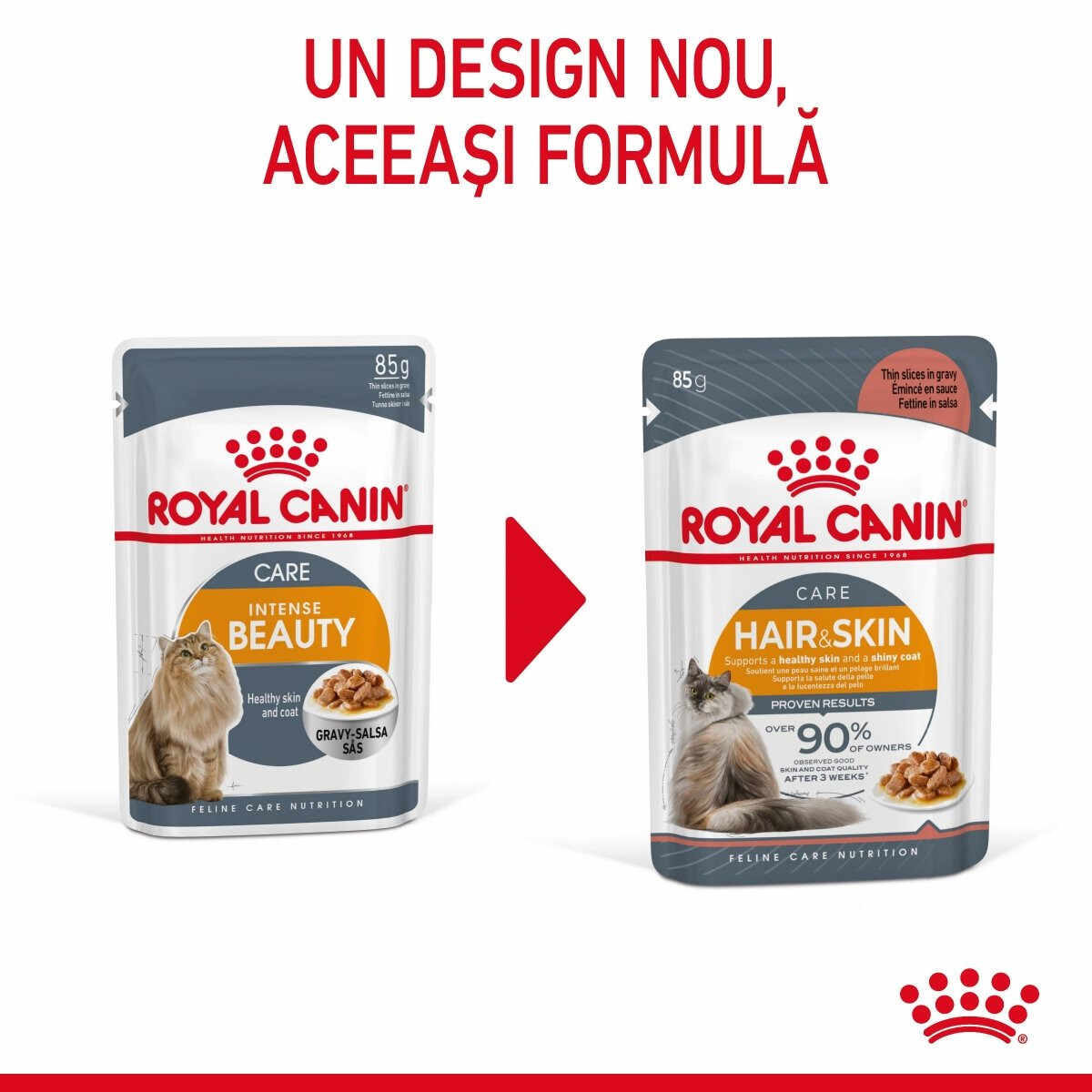 Royal Canin Intense Beauty Care Adult hrană umedă pisică, piele și blană sănătoase (în sos), 12 x 85g