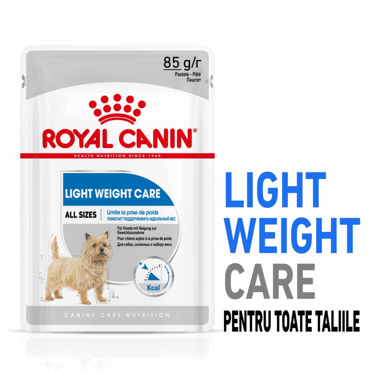 Royal Canin Light Weight Care Adult hrană umedă câine, limitarea creșterii în greutate (pate), 12 x 85g
