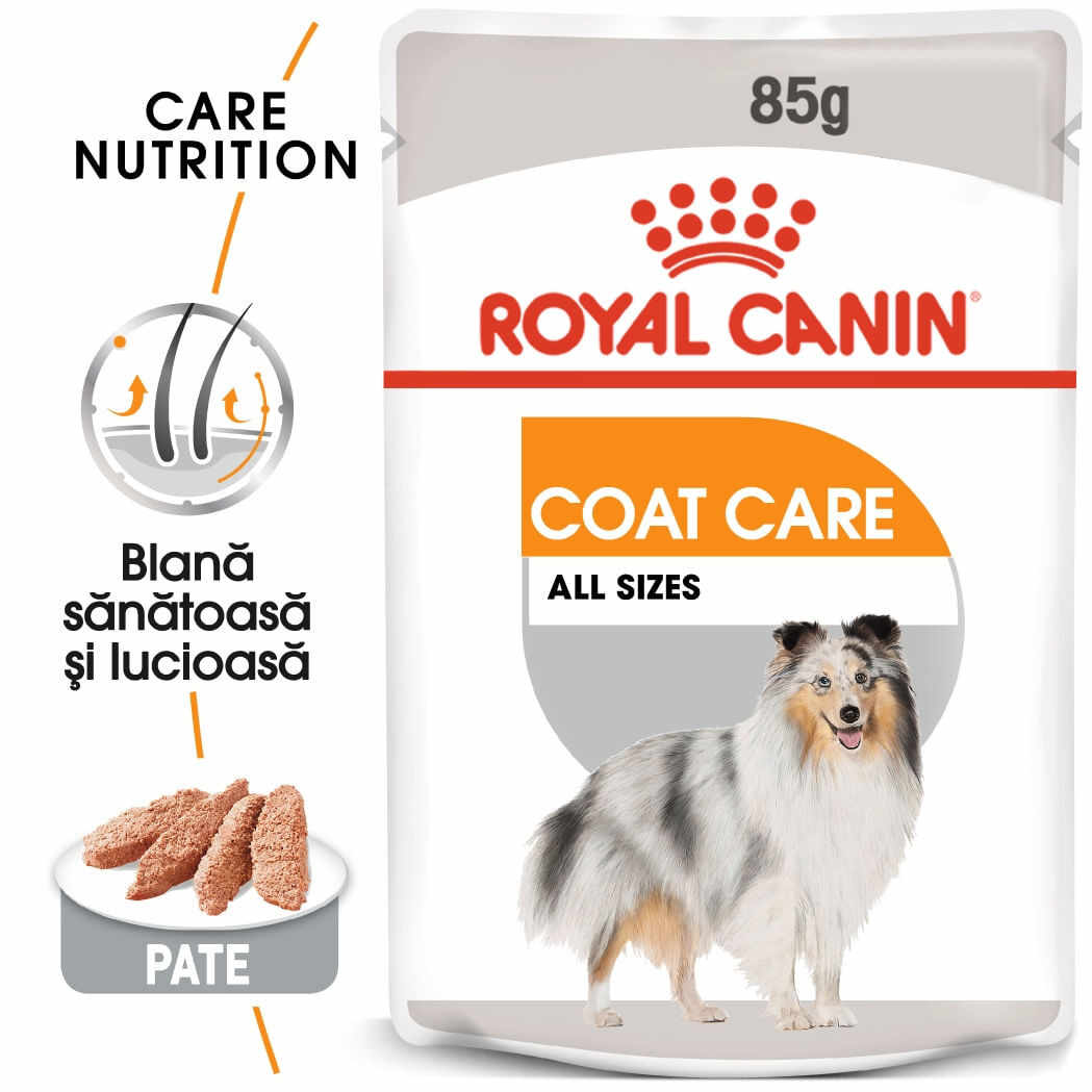 Royal Canin Mini Coat Care Adult hrană umedă câine, blană sănătoasă și lucioasă (pate), 12 x 85g