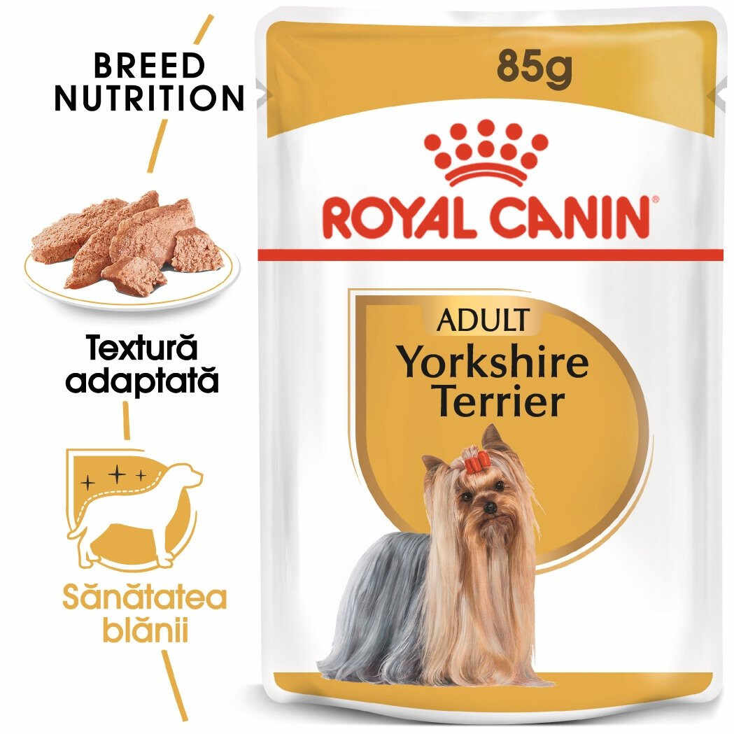 Royal Canin Yorkshire Terrier Adult hrană umedă câine (pate), 12 x 85g