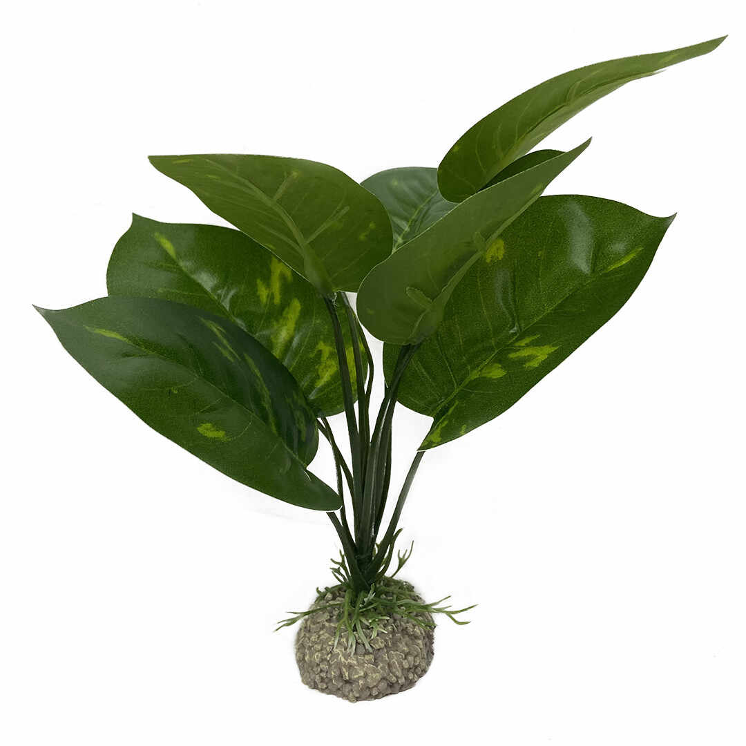 Planta Artificiala Anubias 1 Verde 24 cm 242/468272
