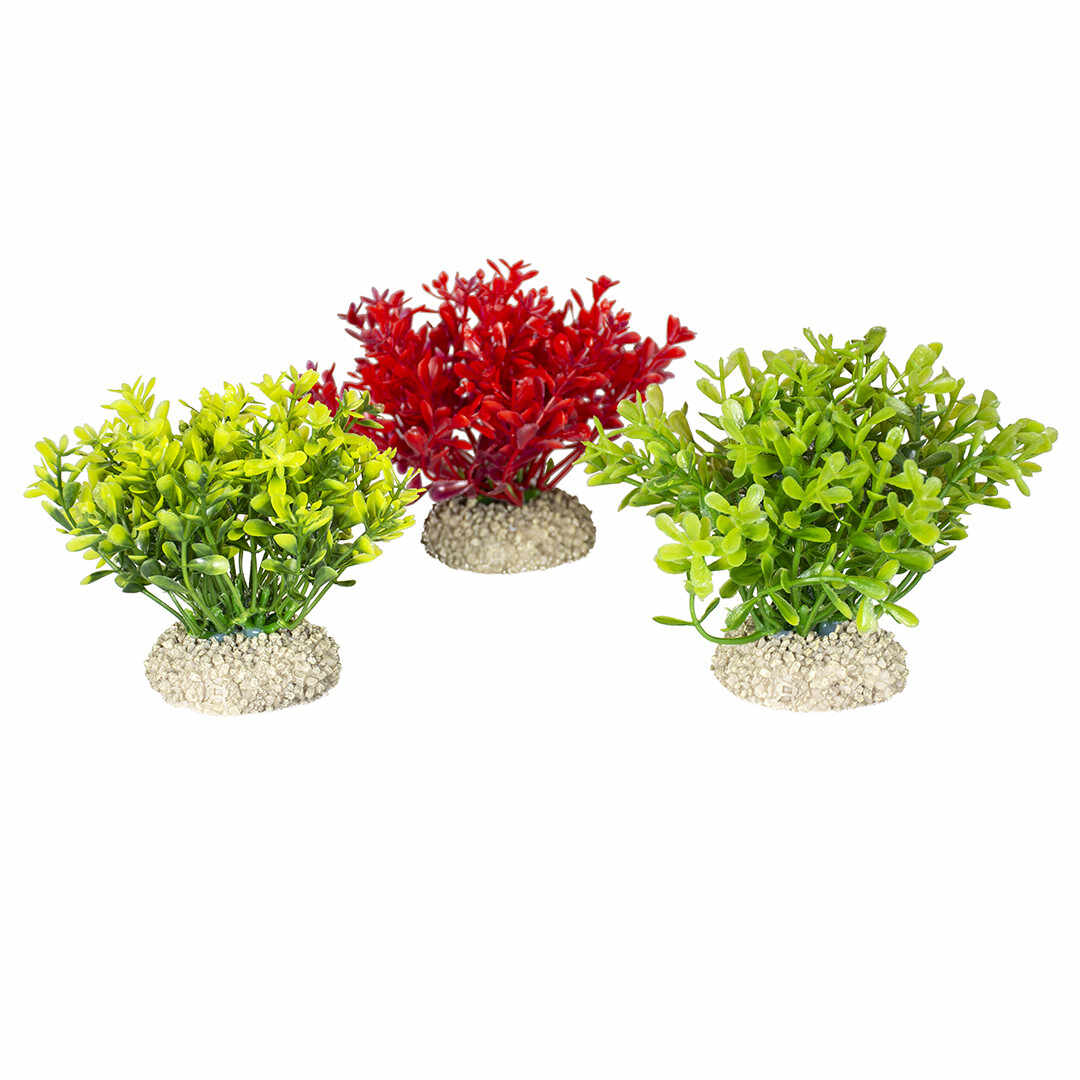 Planta Artificialaglosso S 9 cm Diferite Culori 242/458082