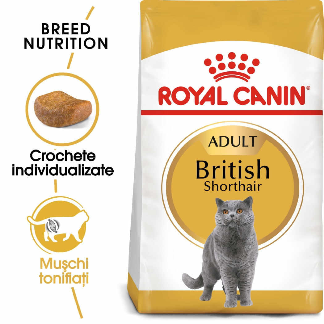 Royal Canin British Shorthair Adult hrană uscată pisică, 2kg