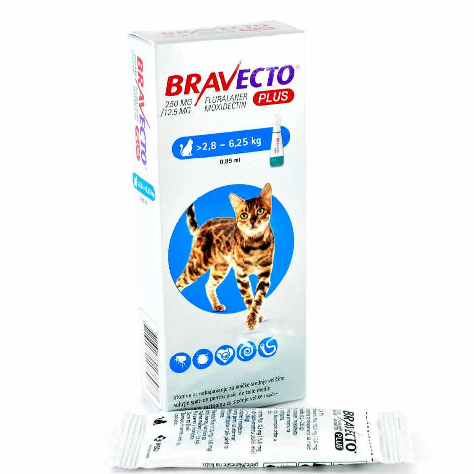Bravecto Plus Spot On Pisica 2,8-6.25 kg kg X 1 Pipeta X 250 Mg